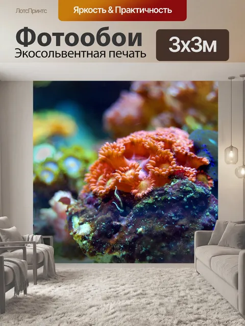 Фотообои Коралл