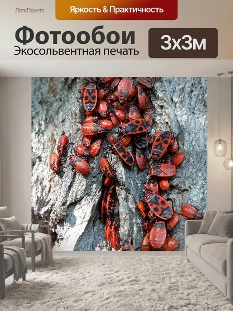 Фотообои Жуки