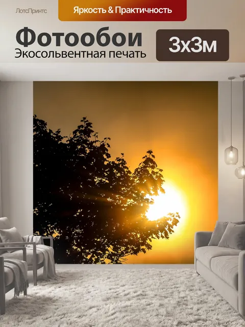 Фотообои Солнце