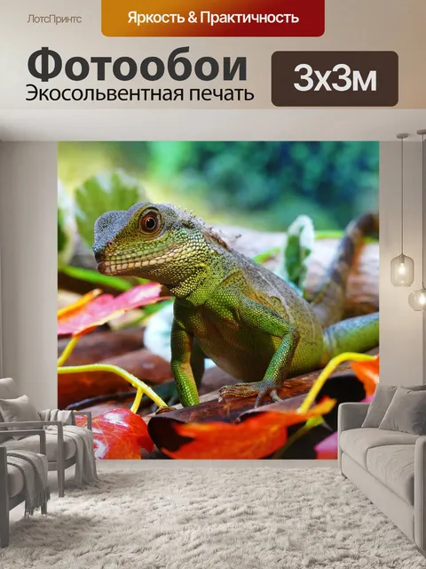 Фотообои Водный дракон