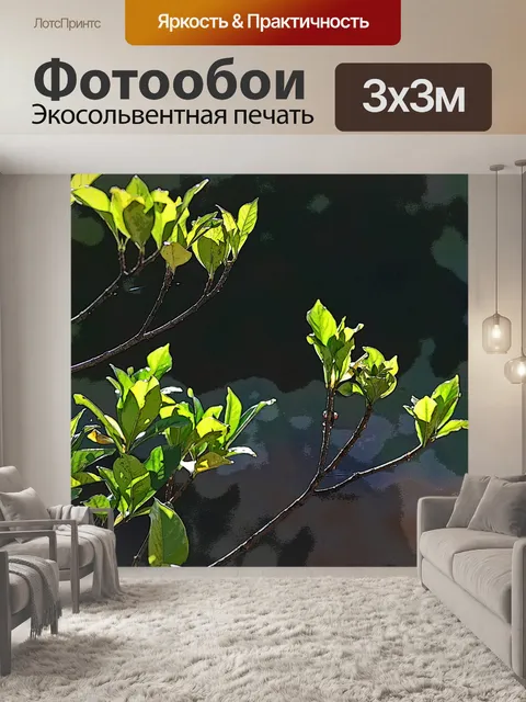 Фотообои свет на гардении листьев