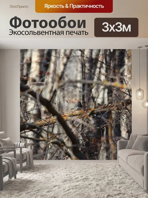 Фотообои темноглазый юнко
