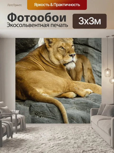 Фотообои Пантера лев