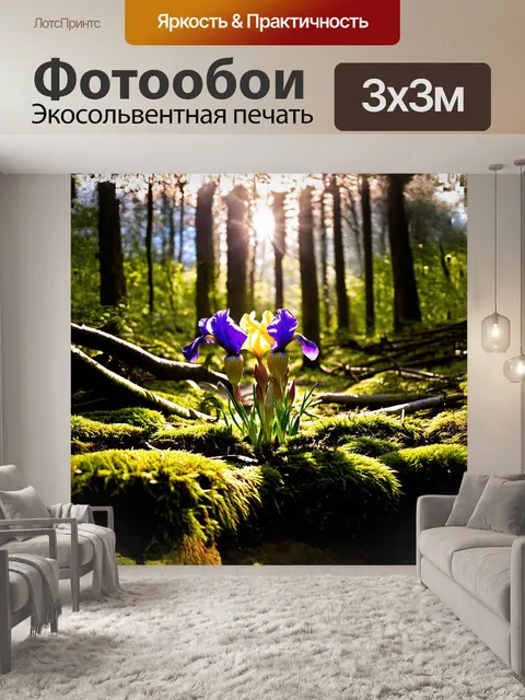 Фотообои в густом лесном массиве пробивается солнечный свет