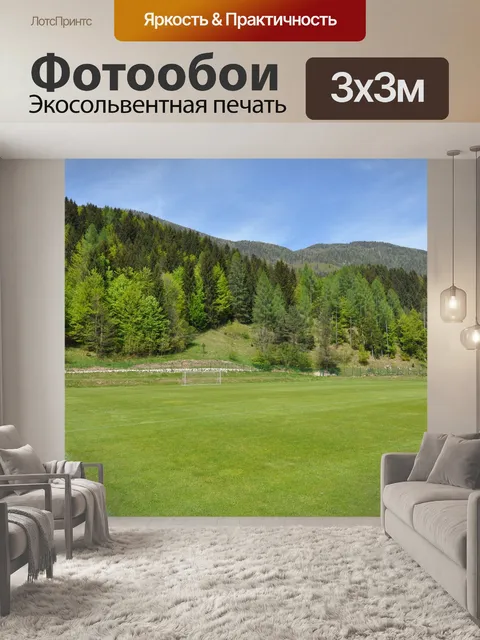 Фотообои Футбол