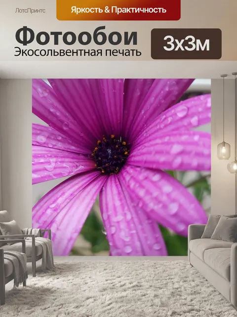 Фотообои Фиолетовый