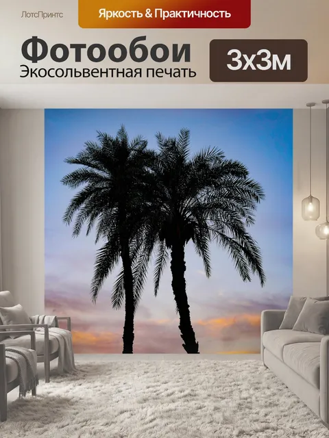 Фотообои Пальмы