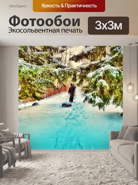 Фотообои снегоступы