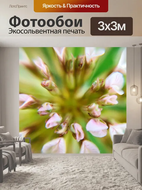 Фотообои Цветок клевера