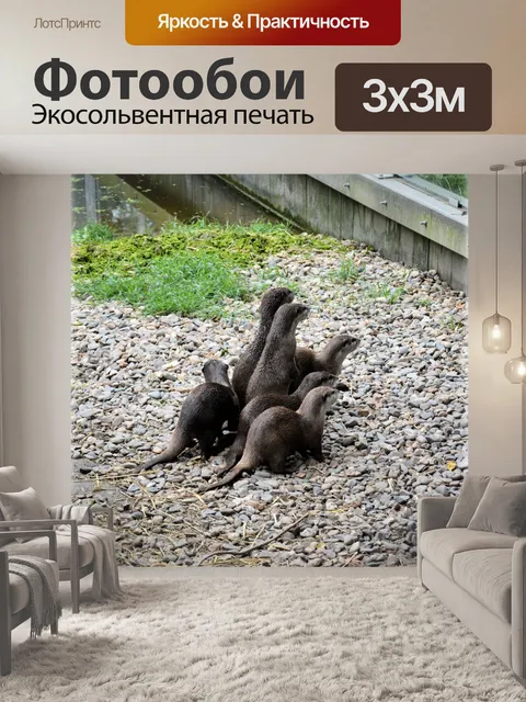 Фотообои Семья выдры 2