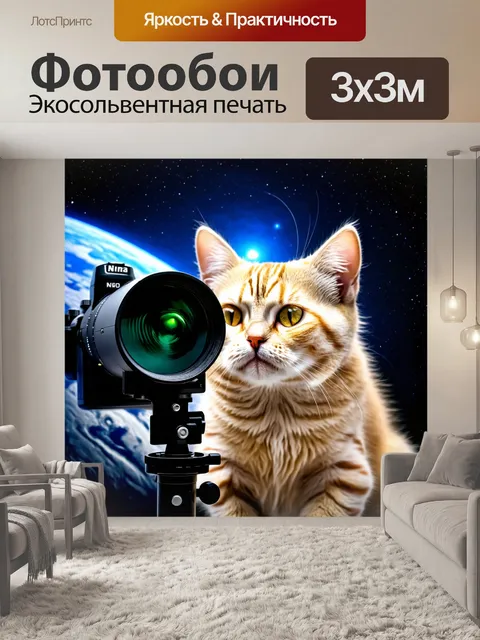 Фотообои кошка, изучающая космос с помощью телескопа