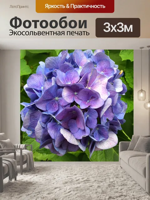 Фотообои Гортензия