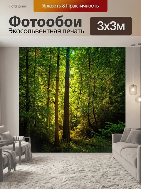 Фотообои густые деревья в лесу, где свет прорывается сквозь листву