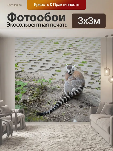 Фотообои Кольцо хвостом Лемуры 4