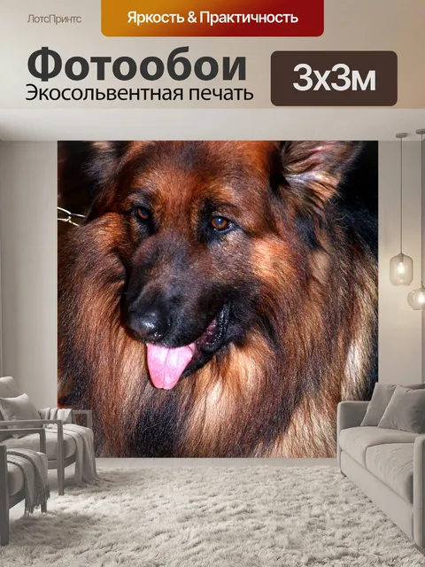Фотообои Собака