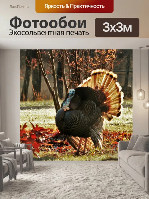 Фотообои Том Турция в утреннем свете