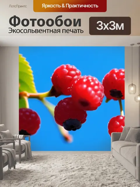 Фотообои яркие ягоды на фоне синих небес