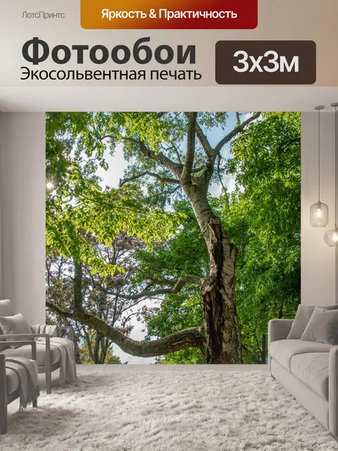 Фотообои Дерево