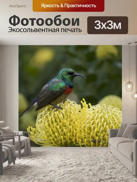 Фотообои Солнечная птица