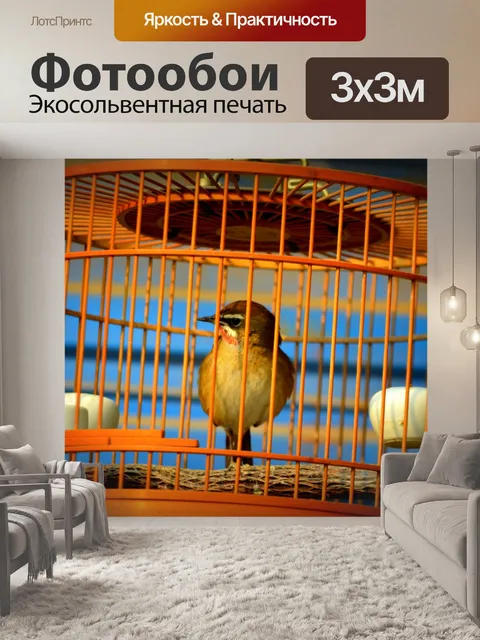 Фотообои Птица в клетке