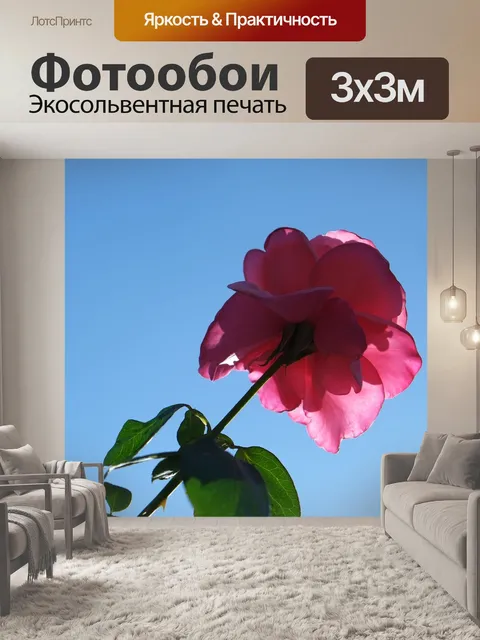 Фотообои Роза