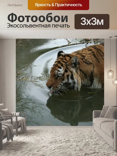 Фотообои Тигр