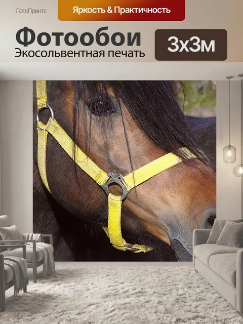Фотообои Лошадь
