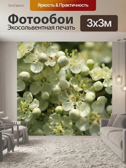 Фотообои Терновник