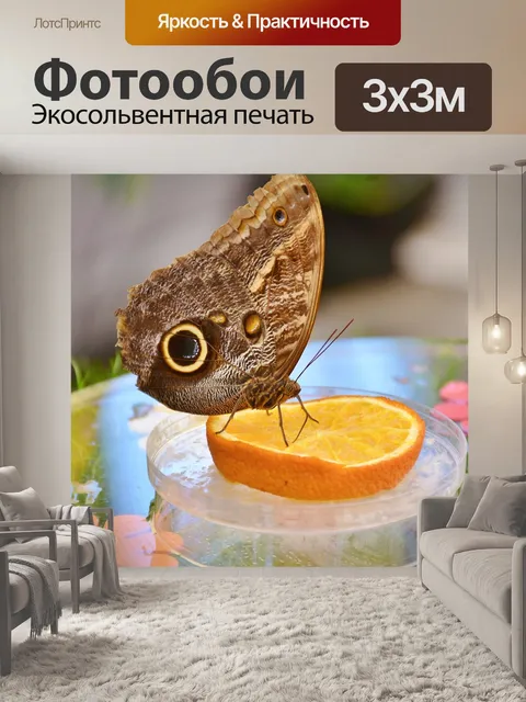 Фотообои Бабочка