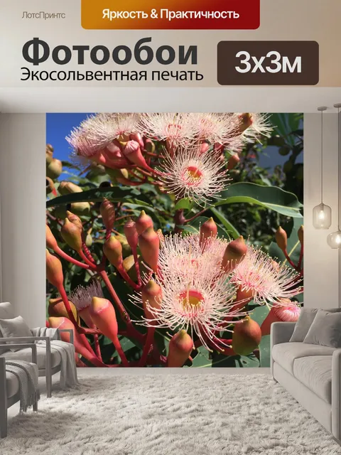 Фотообои Десен