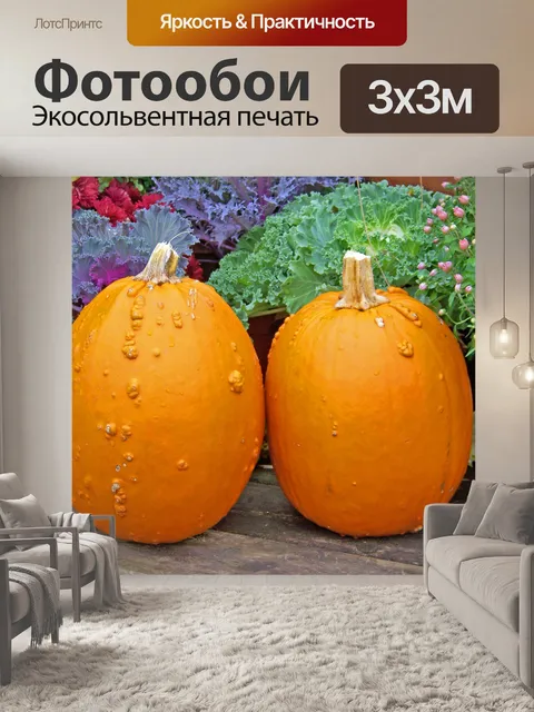 Фотообои Две тыквы