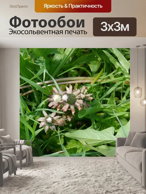 Фотообои Весенний луг