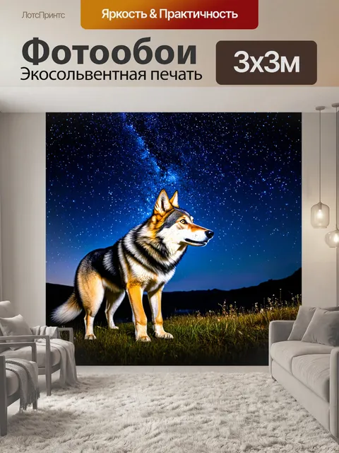 Фотообои волк, смотрящий на яркие звёзды ночью