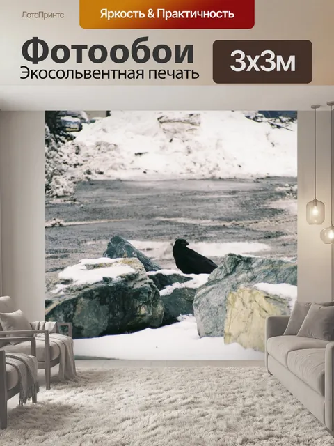 Фотообои ворон