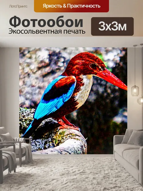 Фотообои Птица Живопись