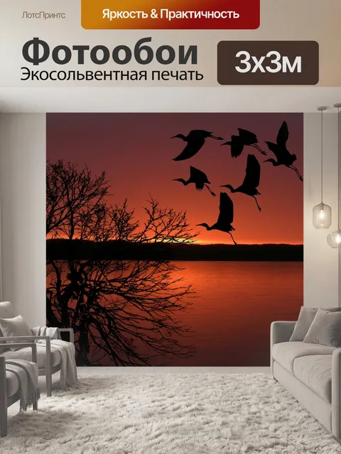 Фотообои Закат, птицы, полет, небо