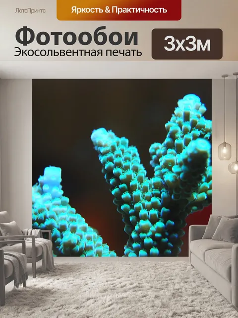 Фотообои Коралл