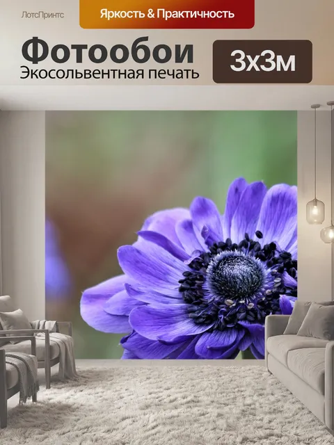 Фотообои Макро анемона голубого мака
