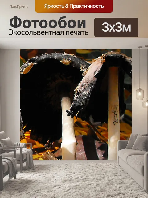 Фотообои Грибы