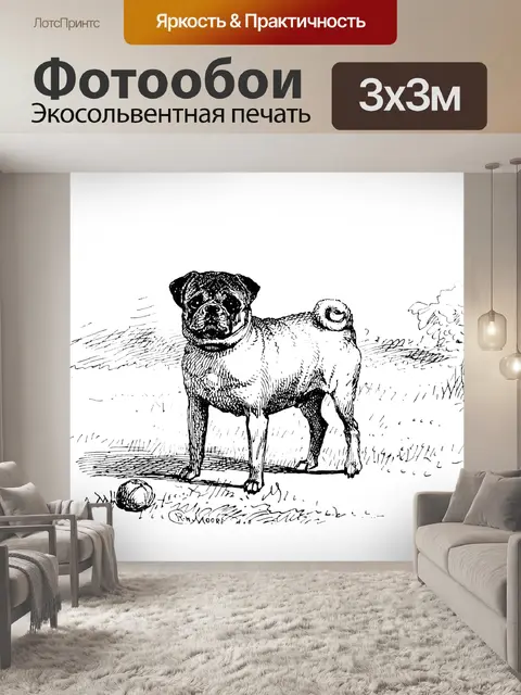 Фотообои Мопса Винтаж Иллюстрация