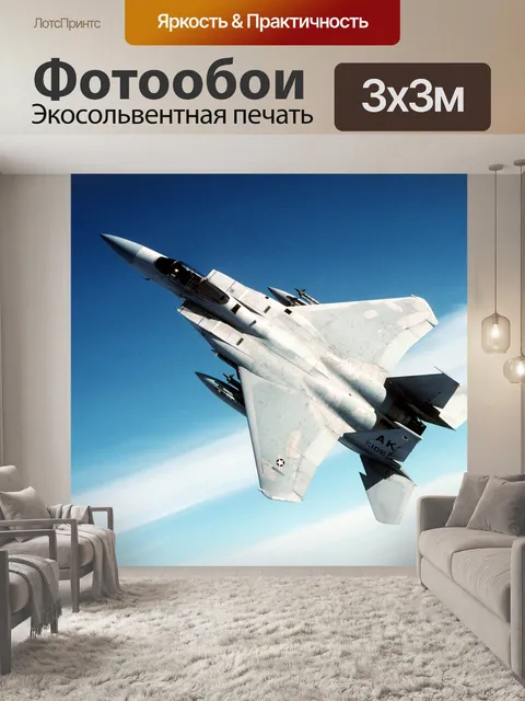 Фотообои Истребитель