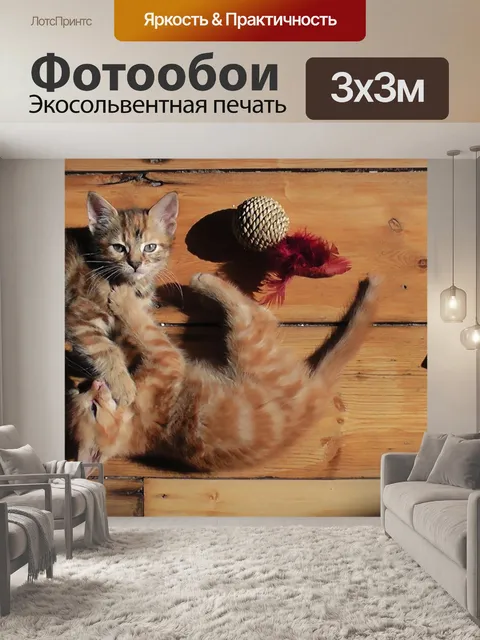 Фотообои Котята