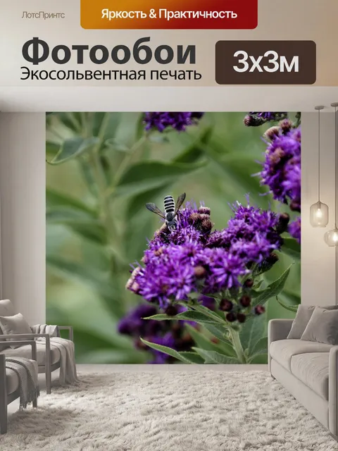 Фотообои Полосатая пчела фиолетовый цветок