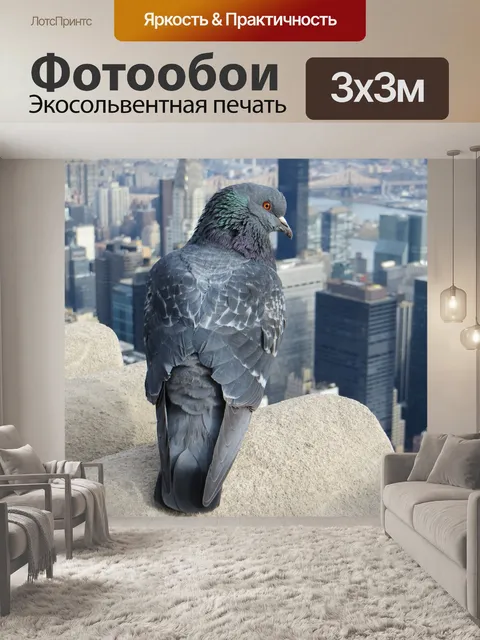 Фотообои Город