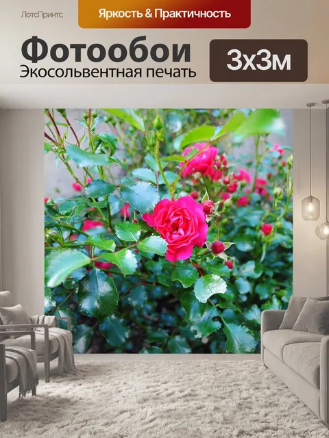Фотообои Розы