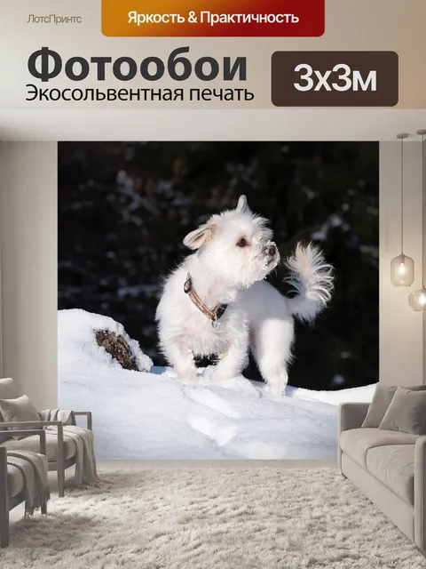 Фотообои Собака