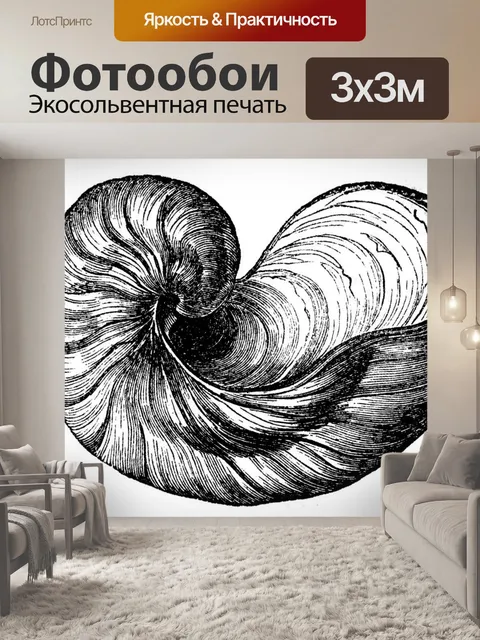 Фотообои Винтажное искусство ракушек старое