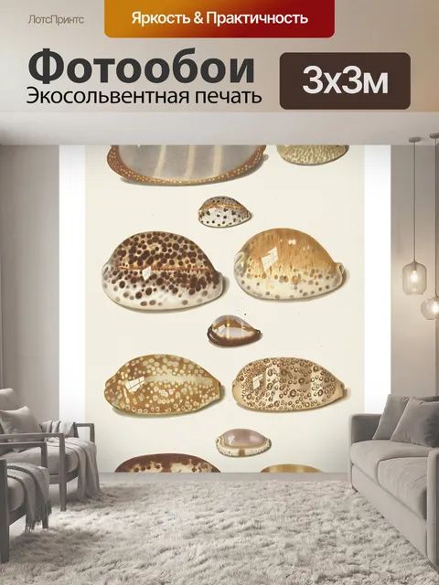 Фотообои Иллюстрация старинных ракушек