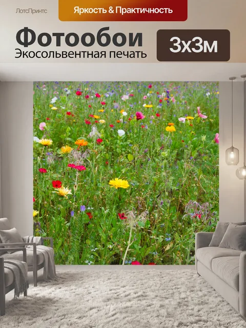 Фотообои красочные полевые цветы