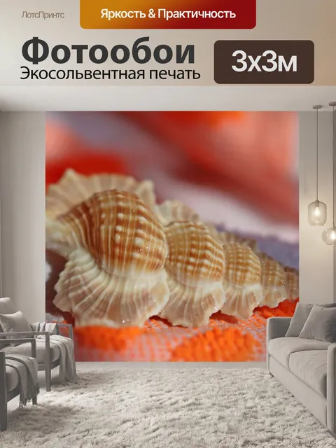 Фотообои Ракушка